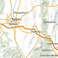 Attēlu rezultāti vaicājumam “Gulielmina vermicularis”