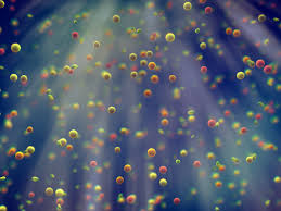 Attēlu rezultāti vaicājumam “pollen corona”