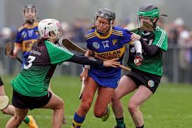 Image result for Rostrevor Hurling Club