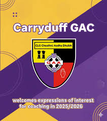 Image result for Carryduff Gaelic Athletic Club