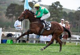 Image result for Westerlands Cross Country Club