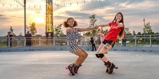Image result for mo roller blade