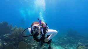 Image result for Divemaster Scuba