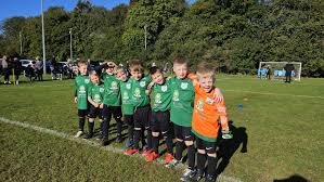 Image result for Welwyn Garden City Panshanger Football Club