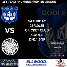 Image result for Goole Town Cricket Club