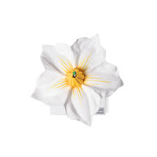 Attēlu rezultāti vaicājumam “Solanum tuberosum flower”