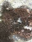 A lichen - Rimularia furvella. This lichen was growing on a schist boulder - via Daymix