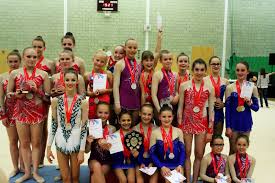 Image result for WALSALL GYMNASTICS CLUB