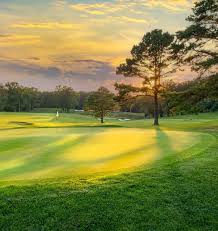 Image result for Cranfield Golf Academy