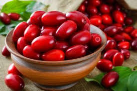 Attēlu rezultāti vaicājumam “Cornus mas fruit”