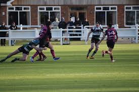 Image result for High Wycombe Rugby Football Club