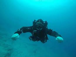 Image result for Bedford Scuba Divers