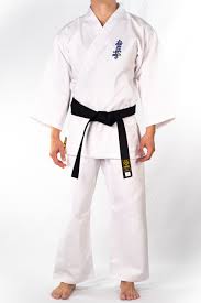 Image result for Kyokushin Karate