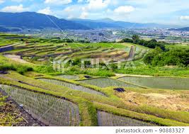 Image result for tanada