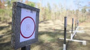 Image result for Tees Valley Target Sports