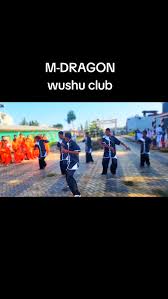 Image result for Dragon Wushu Club