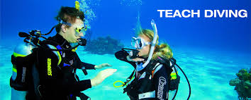 Image result for Divemaster Scuba