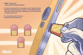 Image result for SiM