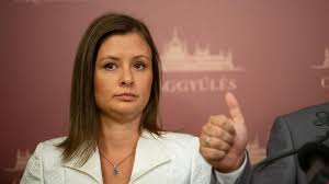 Image result for dúró dóra