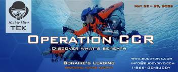 Image result for Headstream Divers