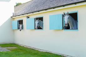 Image result for Lower Farm Stables