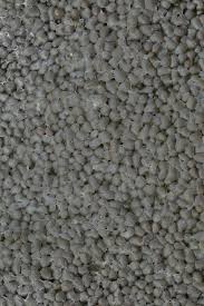 Attēlu rezultāti vaicājumam “Tubifera magna young”