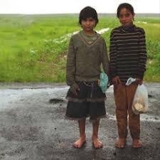 Image result for pthc