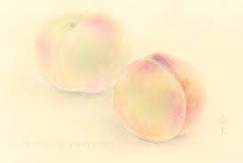 「望月麻里（マリ）」の画像検索結果