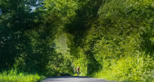 Image result for Hinckley Cycle Racing Club