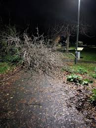 Image result for Queensferry Bowling Club