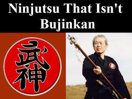 Image result for Manchester University Ninjutsu Society