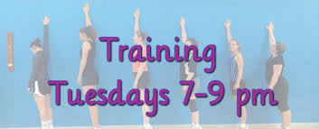 Image result for Leapoole Netball Club