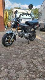 Image result for skyteam pbr teller