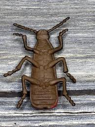 Attēlu rezultāti vaicājumam “Pyrochroa coccinea”