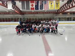 Image result for Tenbury Ladies Hockey Club