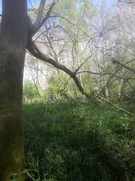 Image result for Long Eaton Field Archery Club