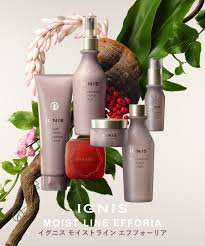 「イクスアイン」の画像検索結果