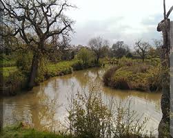 Image result for Leatherhead & District Angling Society