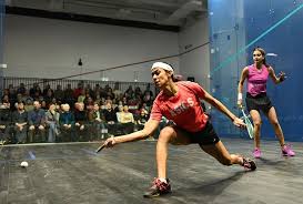 Image result for Wescountry Squash Club