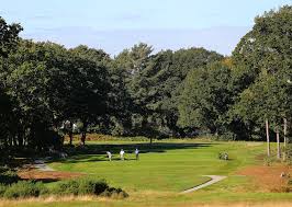 Image result for Brokenhurst Manor Golf Club