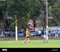 Image result for Aquinas Football Club