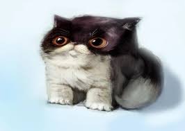 Kuvahaun tulos haulle bonsaikitten