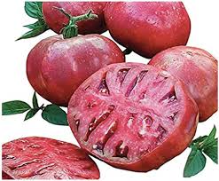 Afbeeldingsresultaat voor cherokee purple tomato