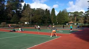 Image result for BrownMoor Park Tennis & Social Club
