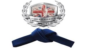 Image result for Judo Excellence