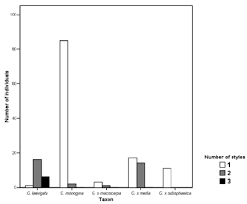 Attēlu rezultāti vaicājumam “Crataegus x macrocarpa”