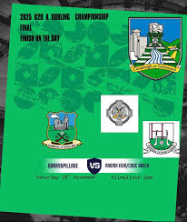 Image result for University Of Limerick Gaa Hurling Club