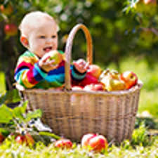 Image result for www.nestlebebe.es