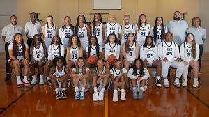 Image result for Penwortham Basketball Club