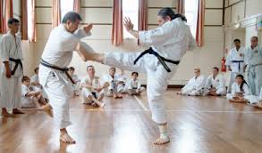 Image result for Addlestone Shotokan Karate Club